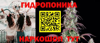 мдпв Аргун