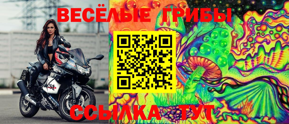 Псилоцибиновые грибы Magic Shrooms Брянск