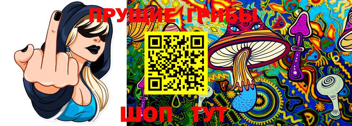 Псилоцибиновые грибы мицелий  Вход с VPN  Брянск 